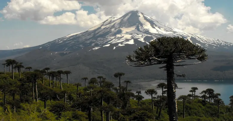 Parque Nacional Conguillío, Araucanía Andina