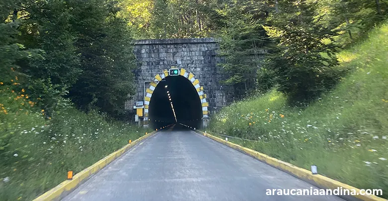 Túnel Las Raíces, Araucanía Andina