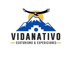 Vida Nativo