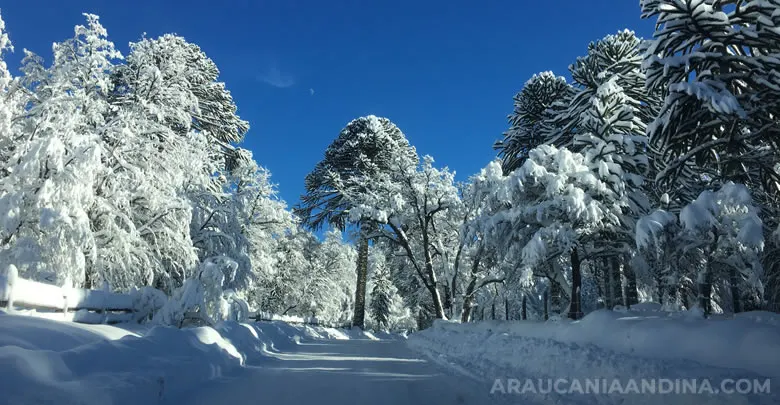 10 imperdibles en invierno, Araucanía Andina