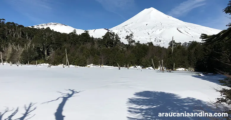 Conguillío en invierno, Araucanía Andina